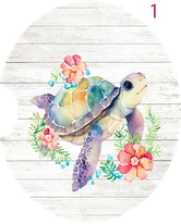 SEA TURTLE COASTERS
