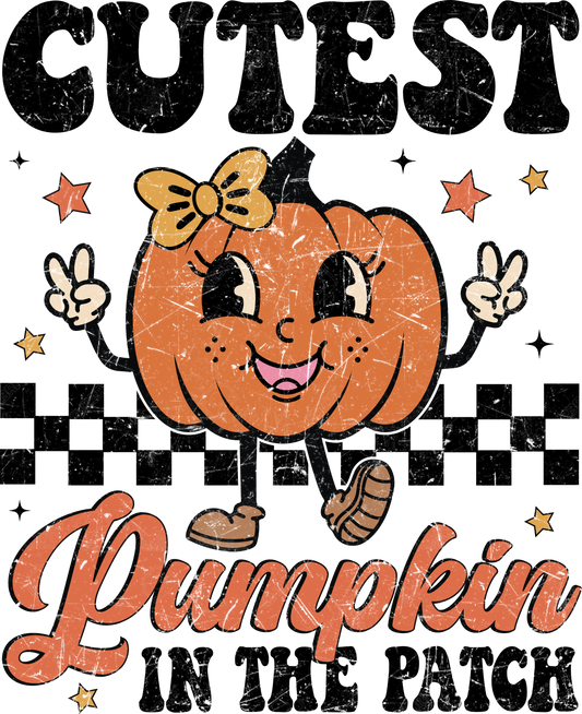 CUTEST PUMPKIN IN THE PATCH