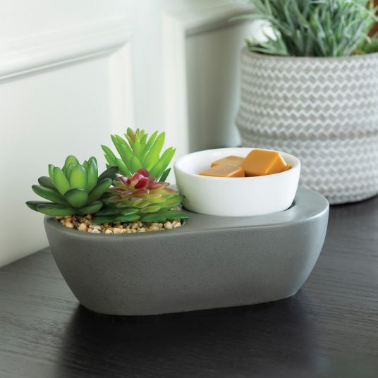 SUCCULENTS ARTSCENTS WAX WARMER