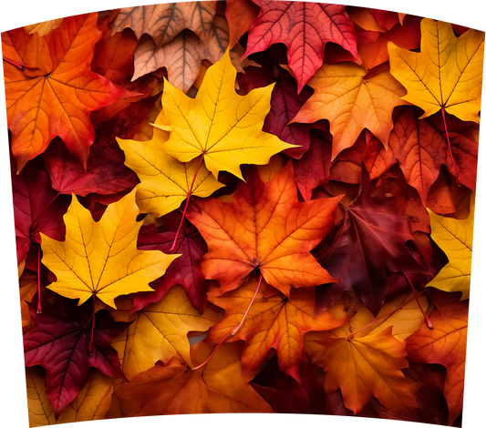 FALL LEAVES