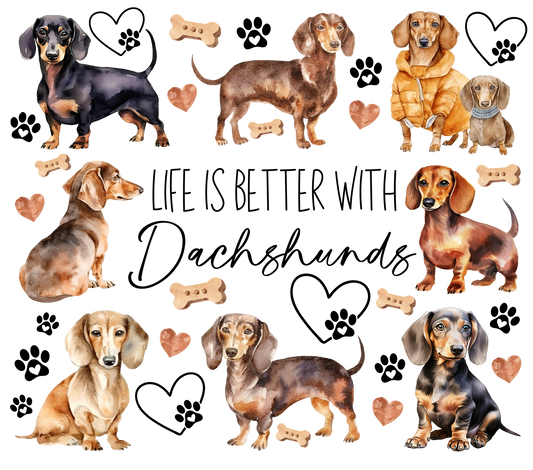 LIFE IS BETTER WITH DACHSHUNDS