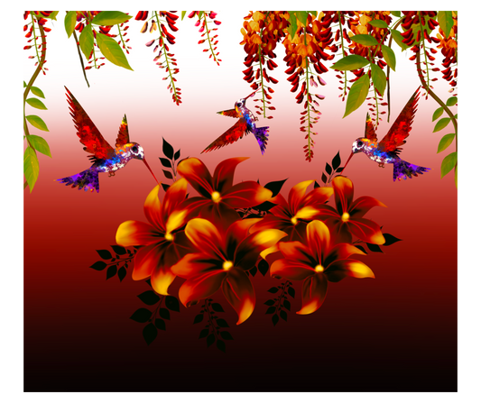 VIBRANT HUMMINGBIRDS