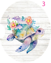 SEA TURTLE COASTERS