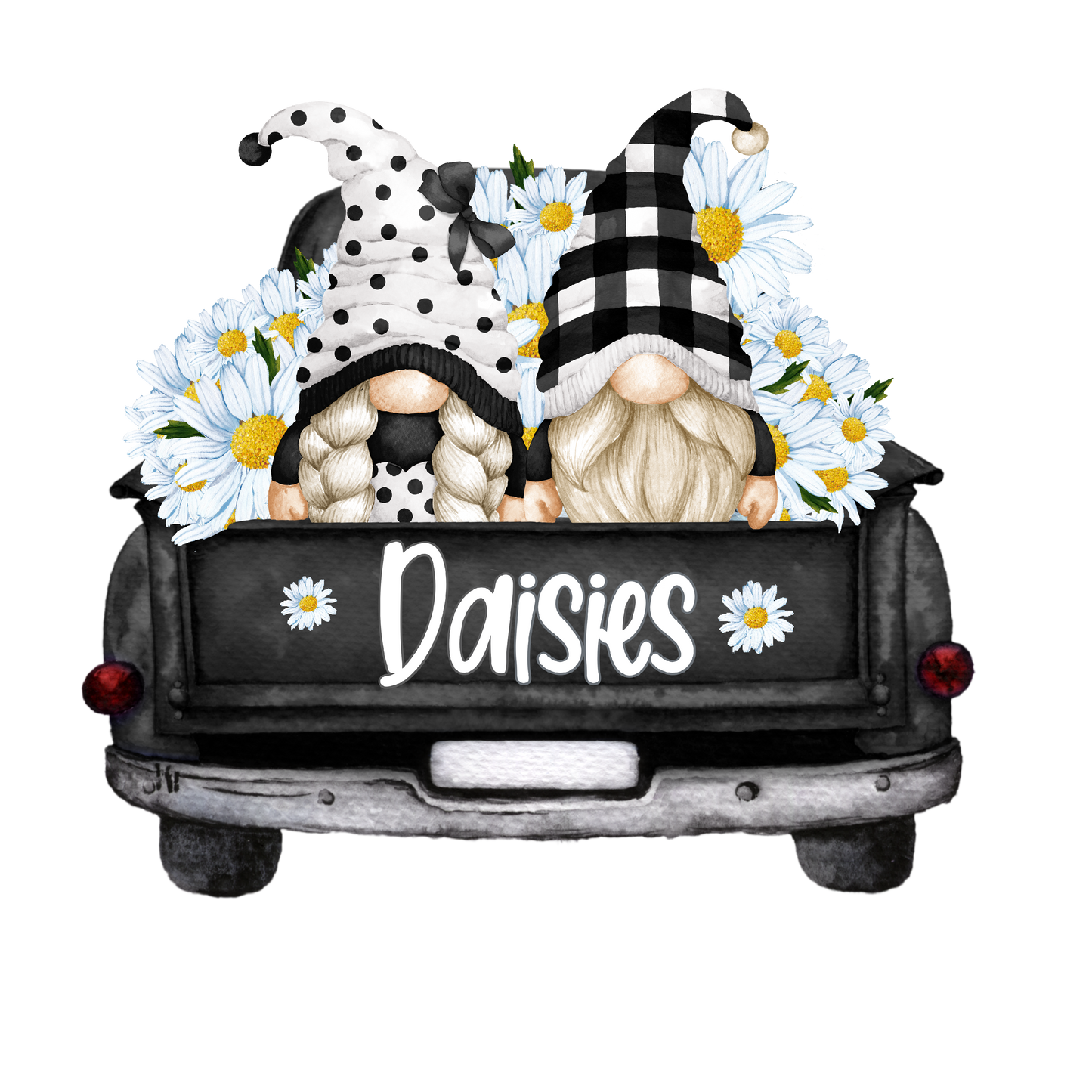 DAISY GNOMES