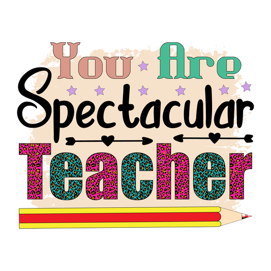 YOU ARE SPECTACULAR TEACHER