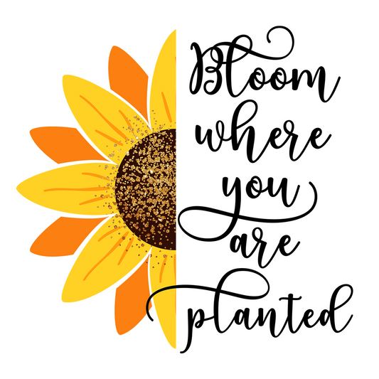 BLOOM WHERE YOU ARE PLANTED