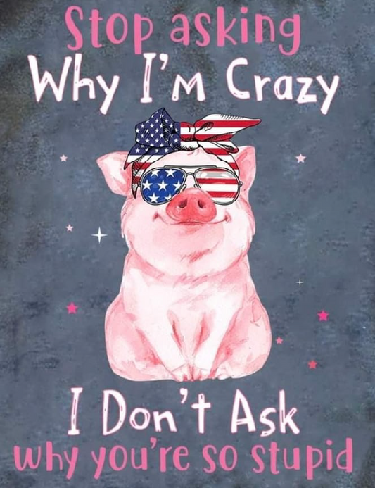 STOP  ASKING WHY IM CRAZY