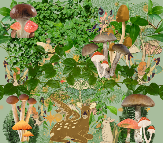 Mushroom Forest