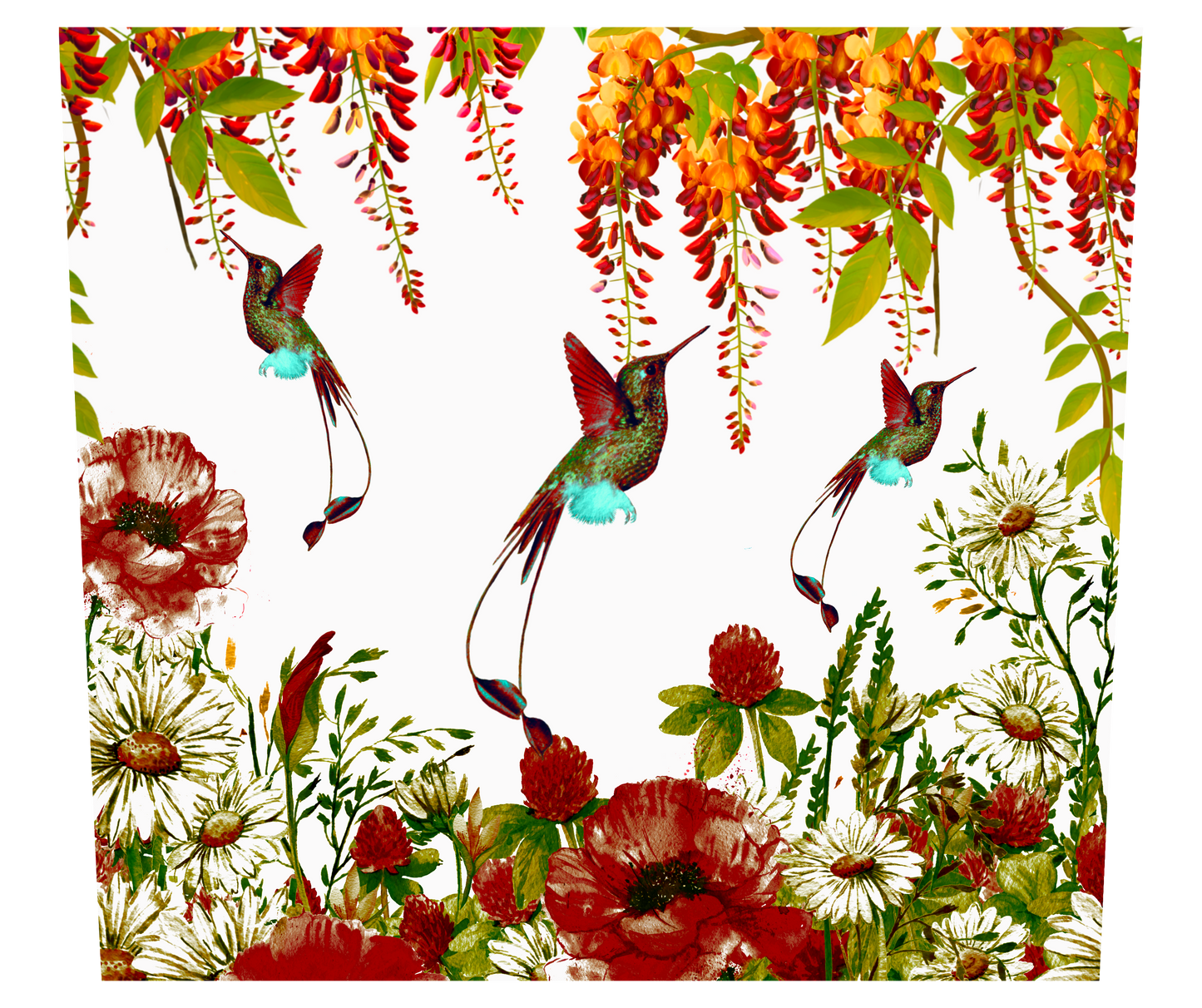 TROPICAL HUMMINGBIRDS