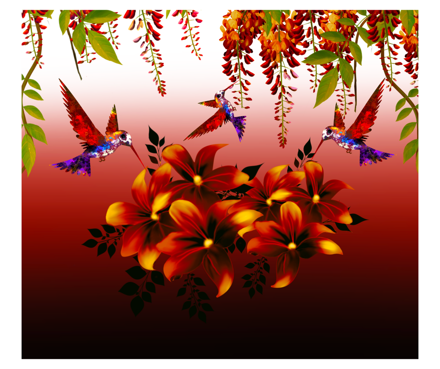 VIBRANT HUMMINGBIRDS